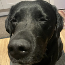remi