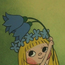 Sky Lilly