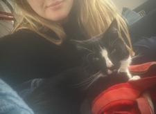 Izzy