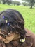 Yasna
