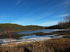 Riikka