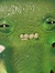 Bru