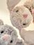 ⋆˚｡⋆୨✧୧...