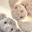 ⋆˚｡⋆୨✧୧˚ alice ˚୨✧୧⋆｡˚⋆