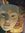 Pontus