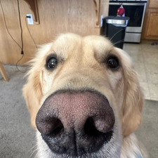 Skylar