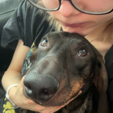 Saxu