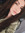 Petya