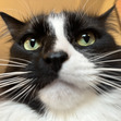 Katie
