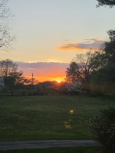 Lucy Field