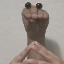 Ani