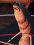 Caley U...