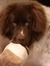 Lorelei S