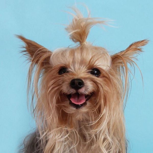 Goodreads profile picture for @cimel