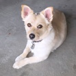 Lucy