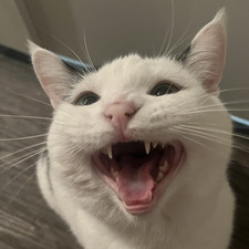 Gooniper
