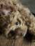 Macie S...