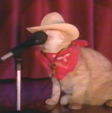 Ryan Dodge