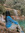 Manisha Cheran