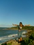 Soly