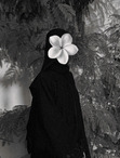 سجا