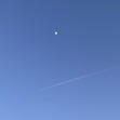 ᵕ̈