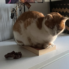 Ama