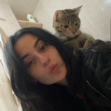 ale