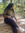 Khadine Thomas