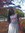 Fadela