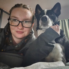 Jodi