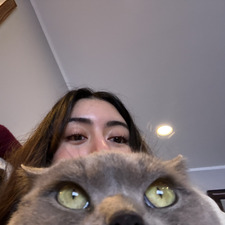 Sus
