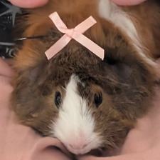 ~Vera~
