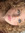 Noa Hurkx
