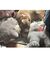 Diana H...