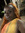 Khalia