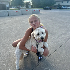 Alli Macke