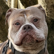 KaRo