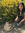 arabella | 1 comments