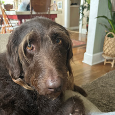 Jeri