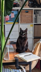 Julie