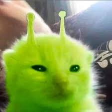 Kat A