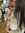 rina