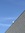 Yapping_Seagull