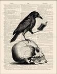 Raven
