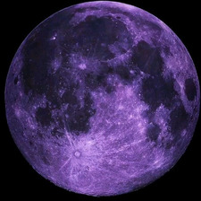 Violet