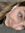 Amy Fer...