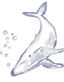 AA