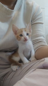 Valentina