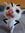 Kat